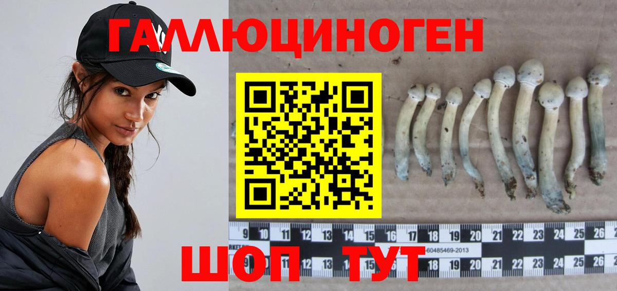Галлюциногенные грибы ЛСД Новомосковск